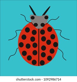 ladybird vector icon