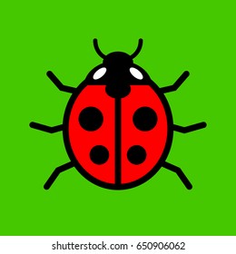 Ladybird vector icon on green background