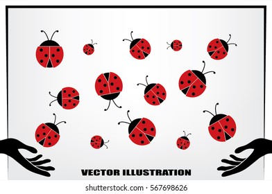 ladybird vector illustration.
