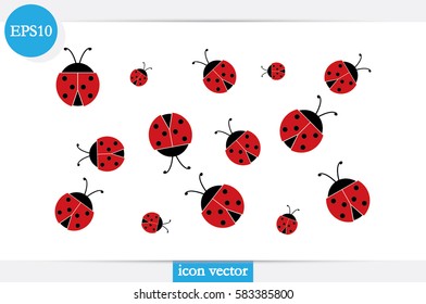 ladybird vector illustration.