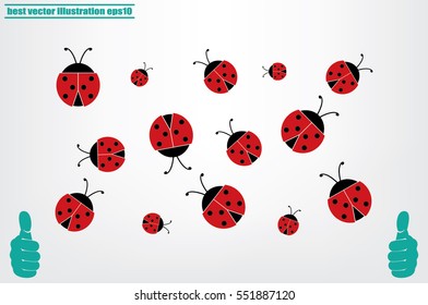 ladybird vector illustration eps10.