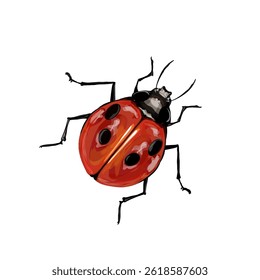 ladybird vector illustration without background