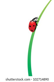 ladybird vector red bug on the green grass isolated on white