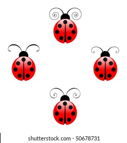 Ladybirds with different antennae