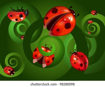 Ladybirds on a green background