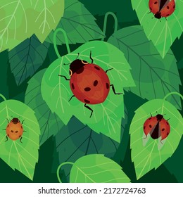 ladybirds on leaves small bugs