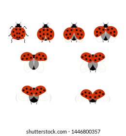 Ladybirds set. Illustration ladybug. Cute colorful sign red insect symbol spring, summer, garden. Template for t shirt, apparel, card, poster, etc. Design element Vector illustration.