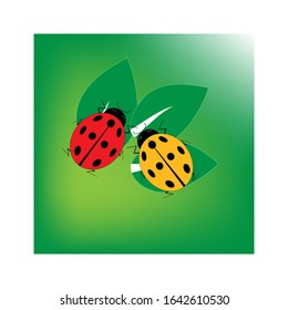 Ladybirds in square. Illustration ladybug on green leaf. Cute colorful sign red insect symbol spring, summer, garden. Template for t shirt, apparel, card, poster. Design element. Vector illustration