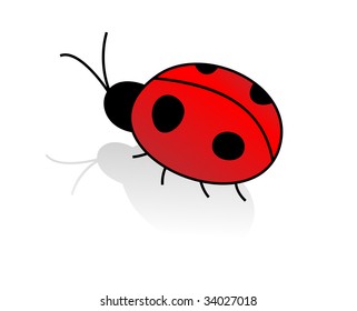Ladybirds. Vector illustration.
