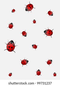 Ladybirds. Vector illustration.