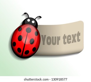 Ladybug