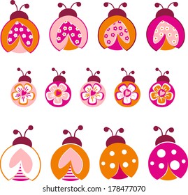 ladybug