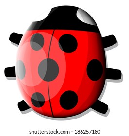 Ladybug