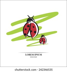 Ladybug