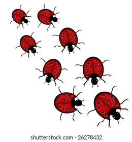 Ladybug