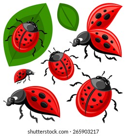 Cartoon Ladybirds Set Vector Illustration Stock Vector (Royalty Free ...