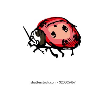 ladybug 