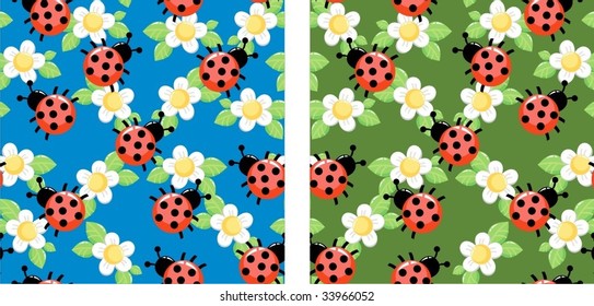 ladybug
