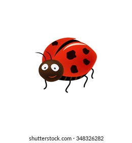 Ladybug