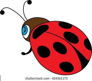 ladybug