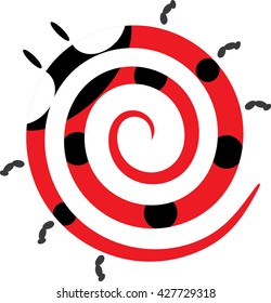 ladybug