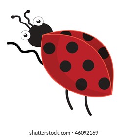 A Ladybug.