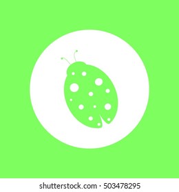 Ladybug