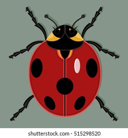 ladybug