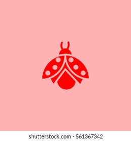 ladybug
