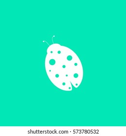 Ladybug