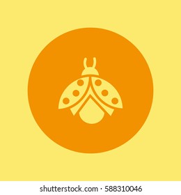 ladybug
