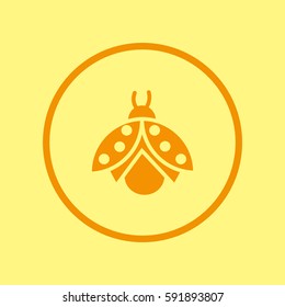 ladybug