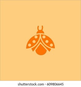 ladybug