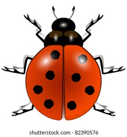 ladybug against white background, abstract vector art illustration; image contains transparency