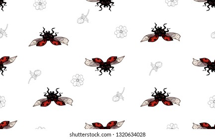 Ladybug and anemone flower on white background. Vector botanical seamless pattern. Vintage hand drawn illustration with flowers and insect.