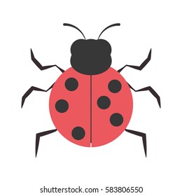 ladybug animal insect garden vector illustration eps 10