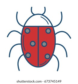 ladybug animal isolated icon