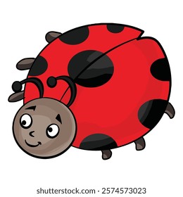 Ladybug animal on white background