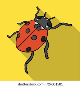 Ladybug is an arthropod.The insect beetle,ladybug single icon in flat style vector symbol stock isometric illustration web.