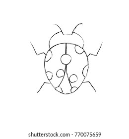 ladybug arthropod insect single icon
