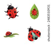 Ladybug beetle icons set cartoon vector. Cartoon bright red ladybird. Nature, insect