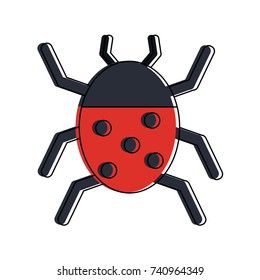 ladybug beetle insect or bug icon image
