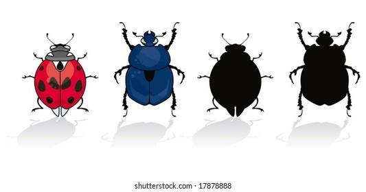 Ladybug and beetle isolated on white with his silhouette