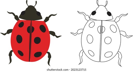 Ladybug beetle ladybird Illustration Fill and Outline Isolated on White Background. Insects Bugs Worms Pest and Flies.Entomology or Pest Control Business graphic elements.