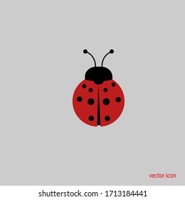 
ladybug beetle vector icon. ladybug flat design. vector illustration