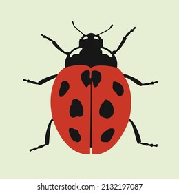 Ladybug beetle vector illustration on light background