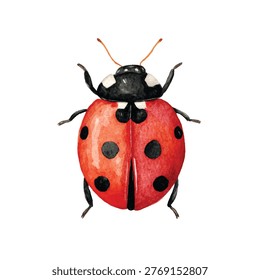 A ladybug with black spots on red