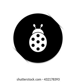 ladybug  - black vector icon