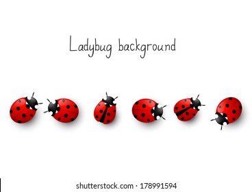 Ladybug border for Your design