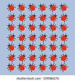 ladybug bug insect icon vector illustration graphic design